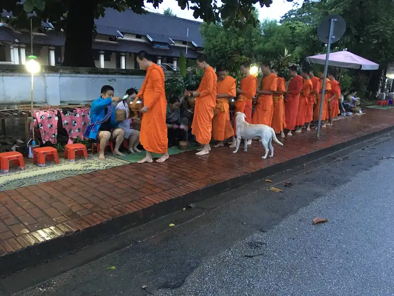 ตักบาตรข้าวเหนียว (ไซบาตร / Sai Bat)